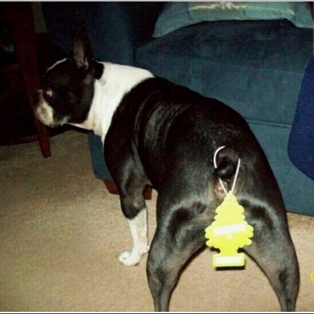 Meet your Posher, Andrew